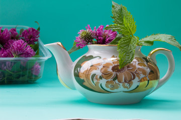 Teapot  with clover, garden mint, box with fresh red clover on green bacground.