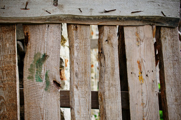 Close up background of vertical fence of light wooden planks that nailed with fasteners and have cracks between each other