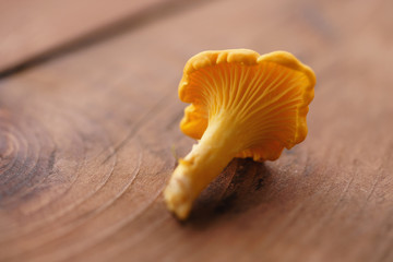 chanterelle mushroom on wood table