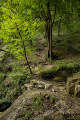 sentiero naturalistico