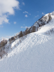 Obraz premium Mountainside slope in the mountains