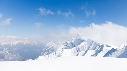 Fototapeta premium Pure snow in the mountains