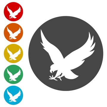 Falcon bird icons set 