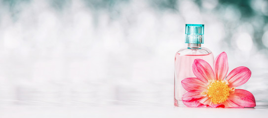 Perfume bottle with pink flower at bokeh background, front view, banner. Beauty and perfumery...