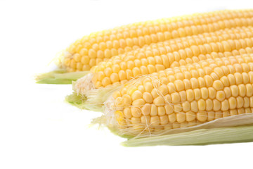 Maize