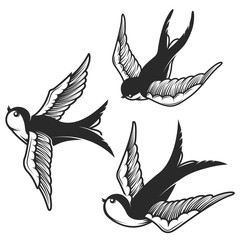 Set of swallow illustrations isolated on white background. Design elements for emblem, sign, badge, t shirt.
