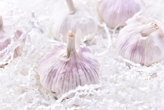Fresh garlic closeup.