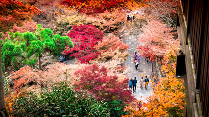 colorful from leaf tree with people walking on street at kiyomizu temple japan