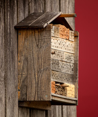 Insektenhaus