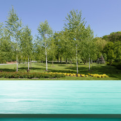 Empty wooden deck table with summer landscape background. Ready for product display montage.