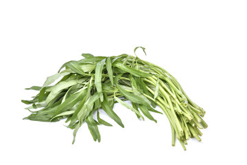 Fresh Water spinach isolated on white background.