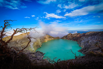 Kawah Ijen volcano with Dead trees on blue sky background in Java, Indonesia.