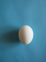 White egg on