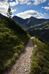 Mountain Trail to the peak