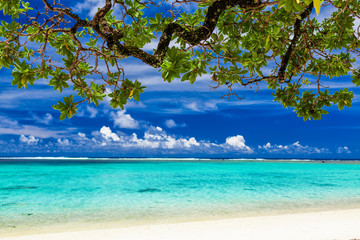 Beach on tropical island during sunny day framed by a tree with green leaves
