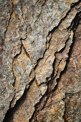 with cracks eroded brownish rock