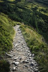 stone walkway in the mountains