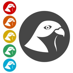 Falcon bird icons set 