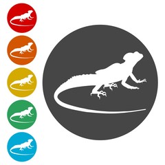 Lizard icons set vector - Illustration 