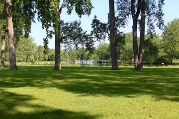 The green grass of the park with the lake and marina in the background.