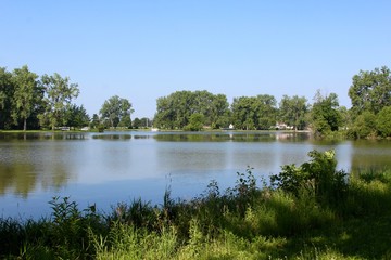 A view of the lake from the grassy lakeshore.