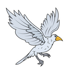 Falcon Bird Vector