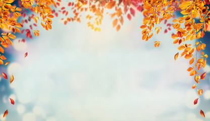 Naklejka na ściany i meble Beautiful autumn foliage background with brunches and falling tree leaves at sky with bokeh