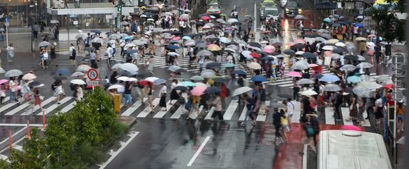 Fototapeta premium 日本の東京都市景観・雨・渋谷駅前のスクランブル交差点