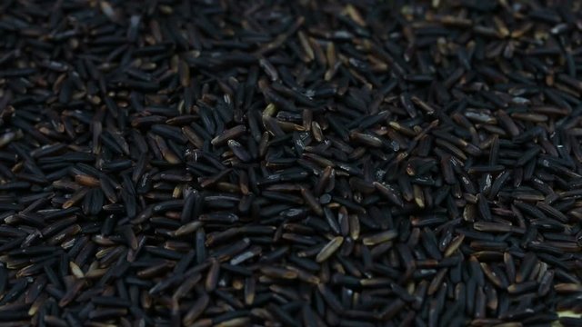 Pouring rice berry seed into plate.