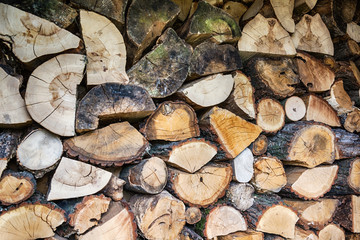 Naklejka premium Vintage toned pile of logs