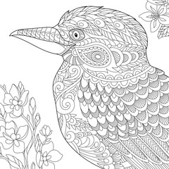 Fototapeta premium Coloring page of australian kookaburra bird. Freehand sketch drawing for adult antistress coloring book in zentangle style.