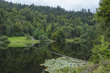 Am Nonnenmattweiher