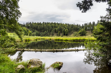 Am Nonnenmattweiher