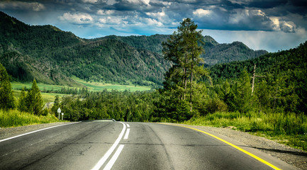 Empty road in altai mountains near meadow and coniferous forest