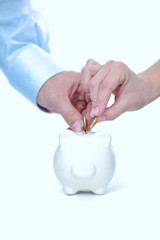 A hand hold a coin into the pig coin bank money box isolated white background
