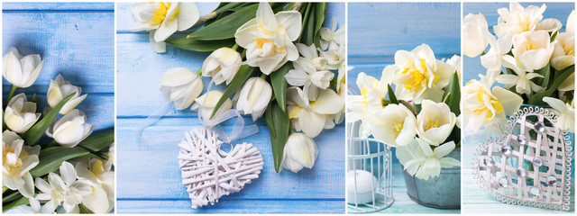 Spring site header. Collage from photos with spring flowers.