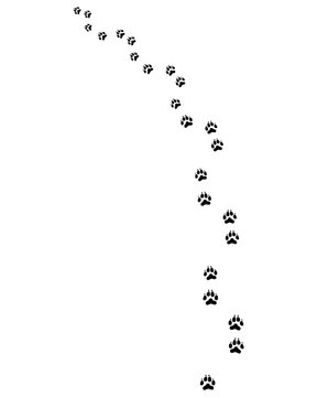 Black footprints of dog on a white background, turn left