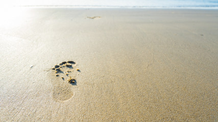 Footprint of people running down to tropical sea beach.