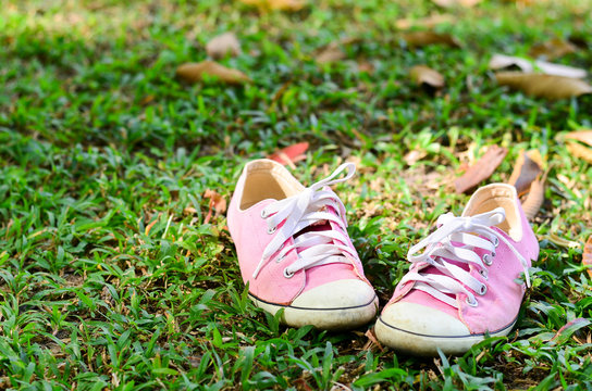 Sport shoes, Pink sneakers on grass,Sports equipment on green grass background.
