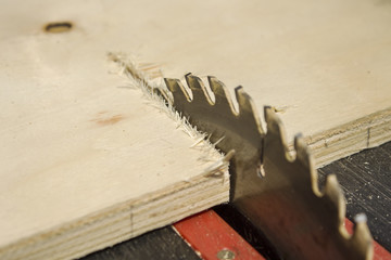 Zęby tnące i tarcza do cięcia na pile stołowej. © Tomasz