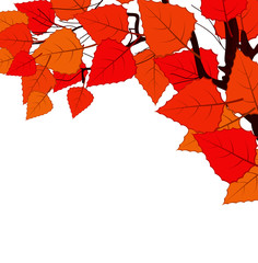 Artistic Red Leaves