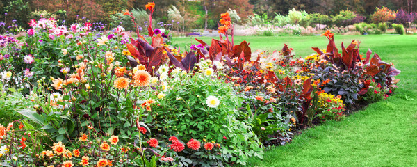 Herbst - Blumenbeet