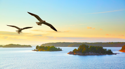 Fototapeta na wymiar Water landscape with flying seagulls