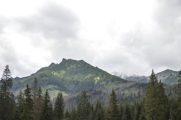 The Beautiful Zakopane, Poland.