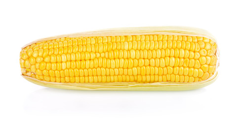 corn isolated on white background