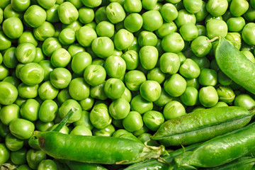 green pea