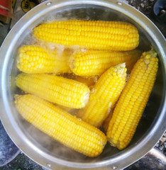 corn boiling in pot