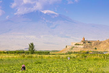 Landscape view of Mount Ararat in sunny day.
Perspective on Mount Ararat, Rural landscape and Khor Virap Monastery. Armenia
