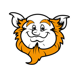 Elf Leprechaun Character Face