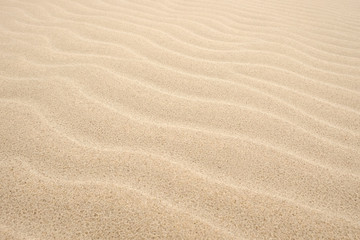 Fototapeta na wymiar Natural background of sand in ripple wave pattern